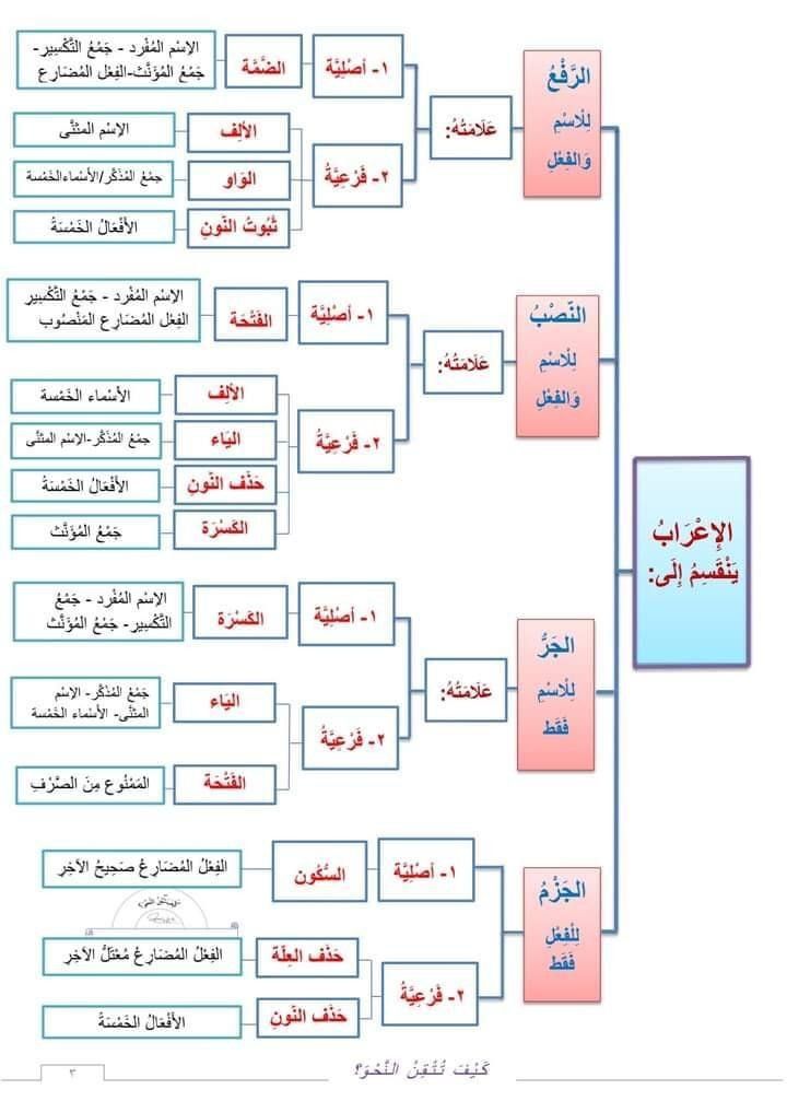 شرح مبسط لجميع مواد المرحلة الابتدائية أونلاين بأسلوب ممتع
