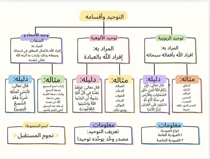 خرائط مفاهيم للطلبة من الصف الاول متوسط للثالث الثانوي