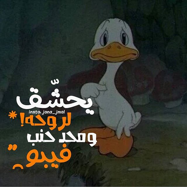 تطوير مواقع لارافل ويب