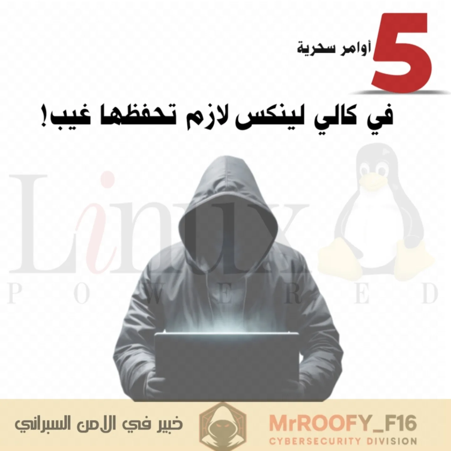 برمجة تطبيق خاص بالاندرويد