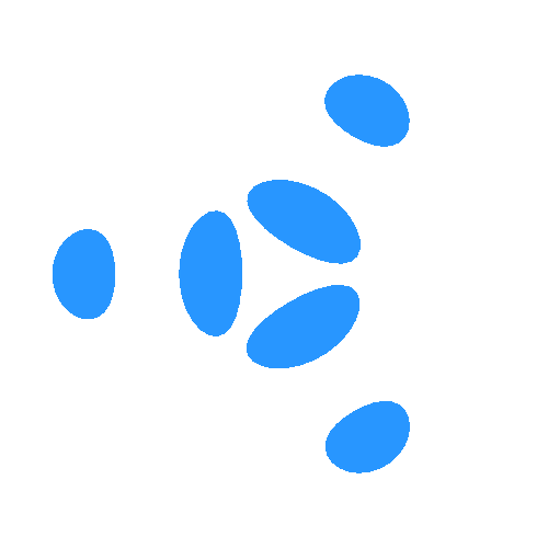 إعداد الاستبيانات 